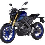 2022 Yamaha MT-15