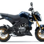 2023 Kawasaki Z125 Pro (USA)