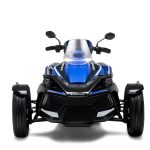 X-WEDGE Walker WR1000.