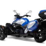 X-WEDGE Walker WR1000.