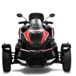 X-WEDGE Walker WR1000.